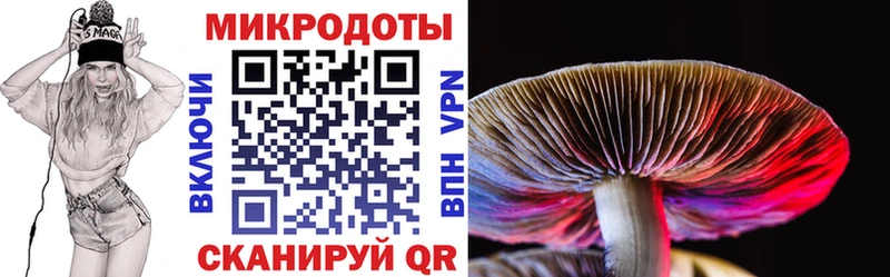 Галлюциногенные грибы Cubensis  Купить где  Новое Девяткино 