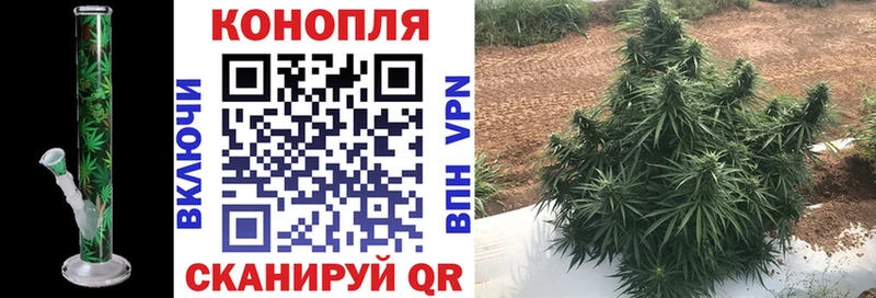 Конопля SATIVA & INDICA  Купить где  Новое Девяткино 